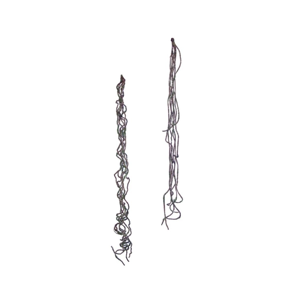 RADICE H.68CM. 2 ASSORTITI